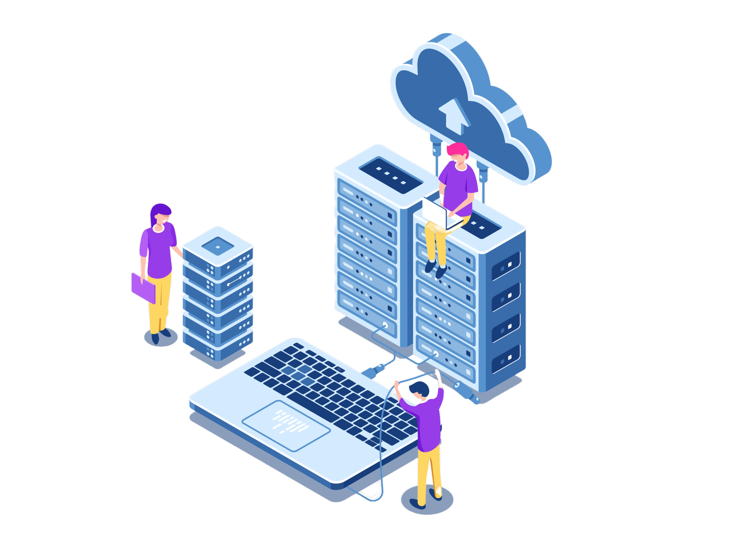 website hosting plans